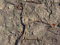 IMG-20230920-WA0018