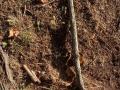 IMG-20230920-WA0019