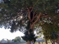 IMG20230914100707