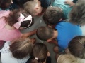 IMG_20220902_091205