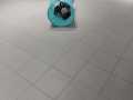 IMG-20220303-WA0008