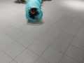 IMG-20220303-WA0009
