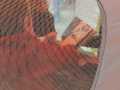 IMG-20220303-WA0049