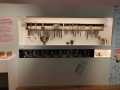 IMG-20240119-WA0010