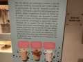 IMG-20240119-WA0014