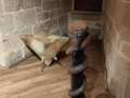 IMG-20240119-WA0031