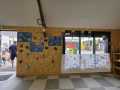 IMG-20260612-WA0020