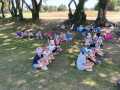 IMG-20250626-WA0002