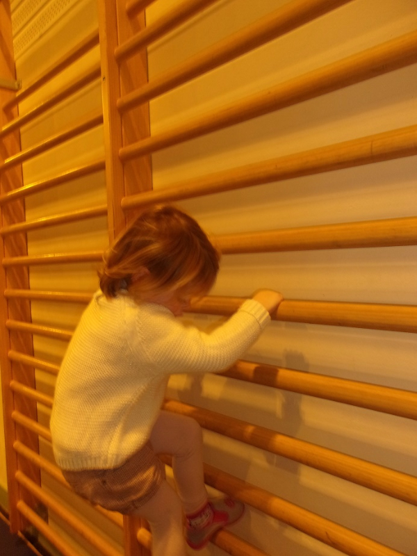 KODAK Digital Still Camera KODAK Digital Still Camera