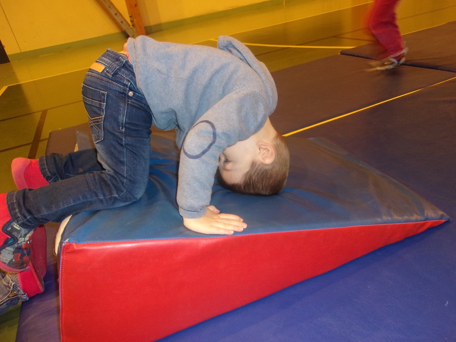 KODAK Digital Still Camera KODAK Digital Still Camera