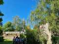 IMG-20250429-WA0010