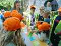 IMG-20250429-WA0012