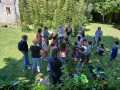 IMG-20250429-WA0013