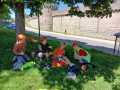 IMG-20250429-WA0014