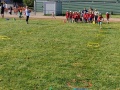 IMG20260409113737