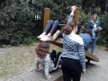 IMG_20190507_113904