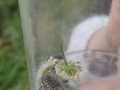 IMG-20230516-WA0010