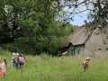 IMG-20230516-WA0013