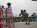 IMG_3847