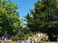 IMG-20250628-WA0006