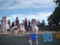 DSC04756