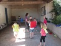 IMG_3953