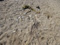 IMG_3759
