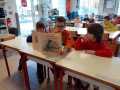 IMG-20250117-WA0002
