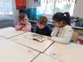IMG-20250117-WA0009