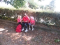 Le palandrin 050