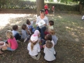 Le palandrin 051