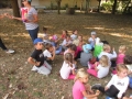 Le palandrin 056