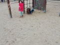 IMG_20210318_114108