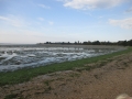 Le palandrin 012