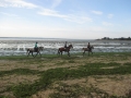 Le palandrin 014