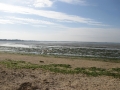 Le palandrin 020