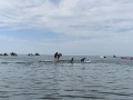 IMG20231005141536