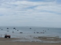 IMG20231005143730