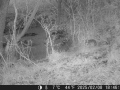 Hunter Camera