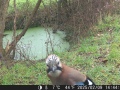 Hunter Camera