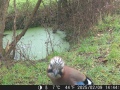 Hunter Camera