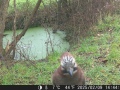 Hunter Camera