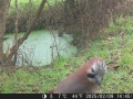 Hunter Camera