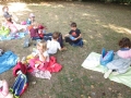 Le palandrin 029