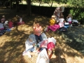 Le palandrin 034