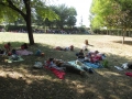Le palandrin 036