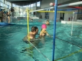 piscine 2ème décembre 2017 018