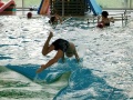 IMG20260130145016