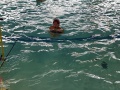 IMG20260130145641