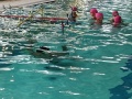 IMG20221117140843